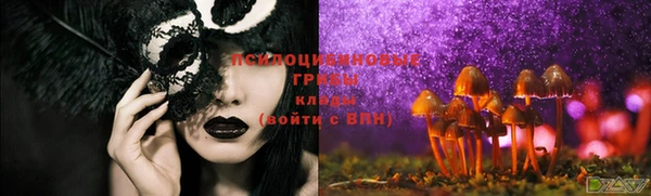 винт Костерёво