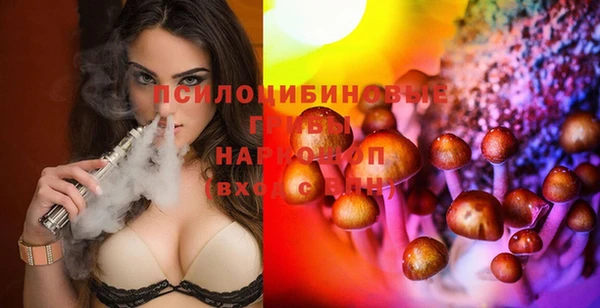 винт Костерёво