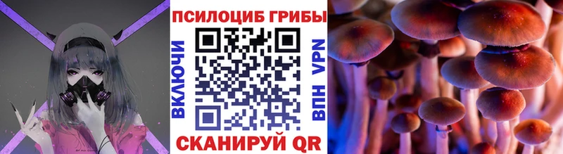 как найти наркотики  гидра зеркало  Псилоцибиновые грибы GOLDEN TEACHER  Монино 